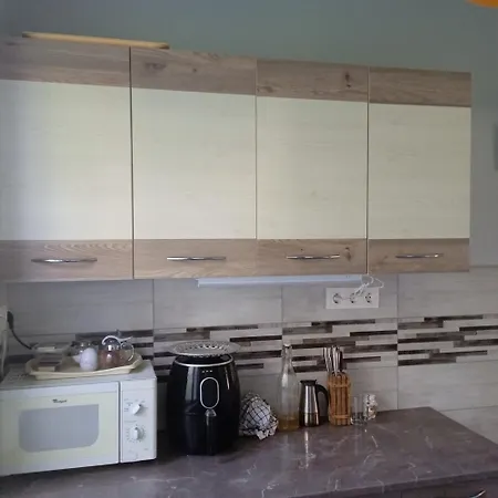 Hause With Jacuzzi Half Hour From Budapest Διαμέρισμα Velence